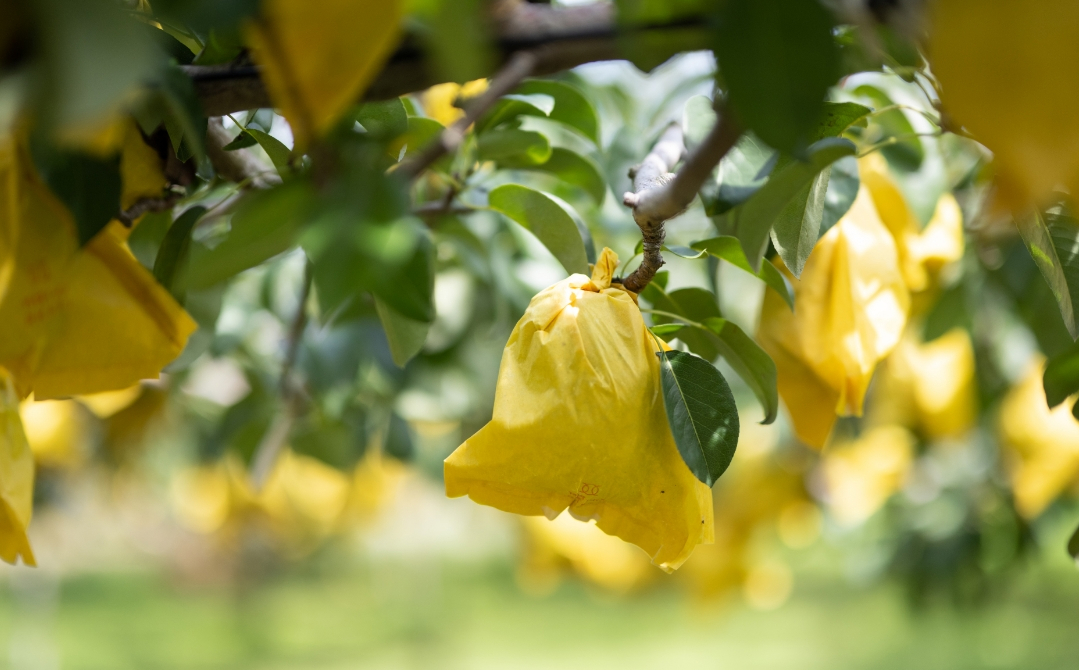 メインビジュアル