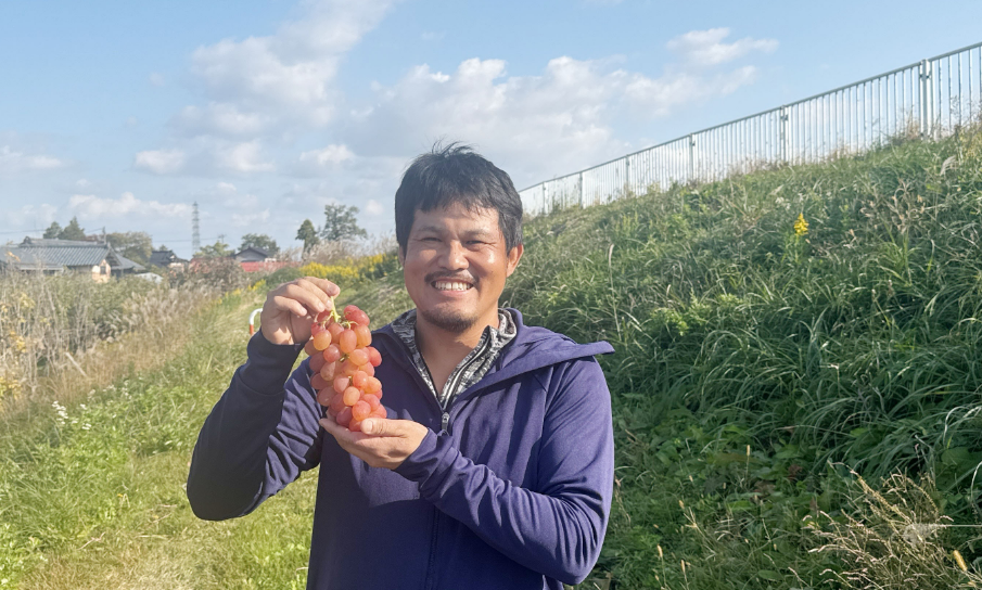 よさく農園｜川上好美 | よさく農園｜川上好美